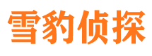 无为捉小三公司